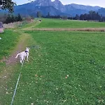 Rodzinny