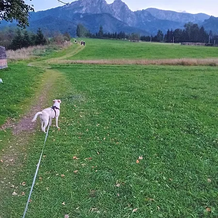 Rodzinny